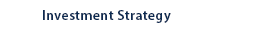 Investment Strategy