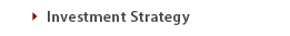 Investment Strategy