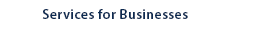 Services for Businesses