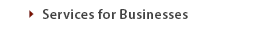 Services for Businesses
